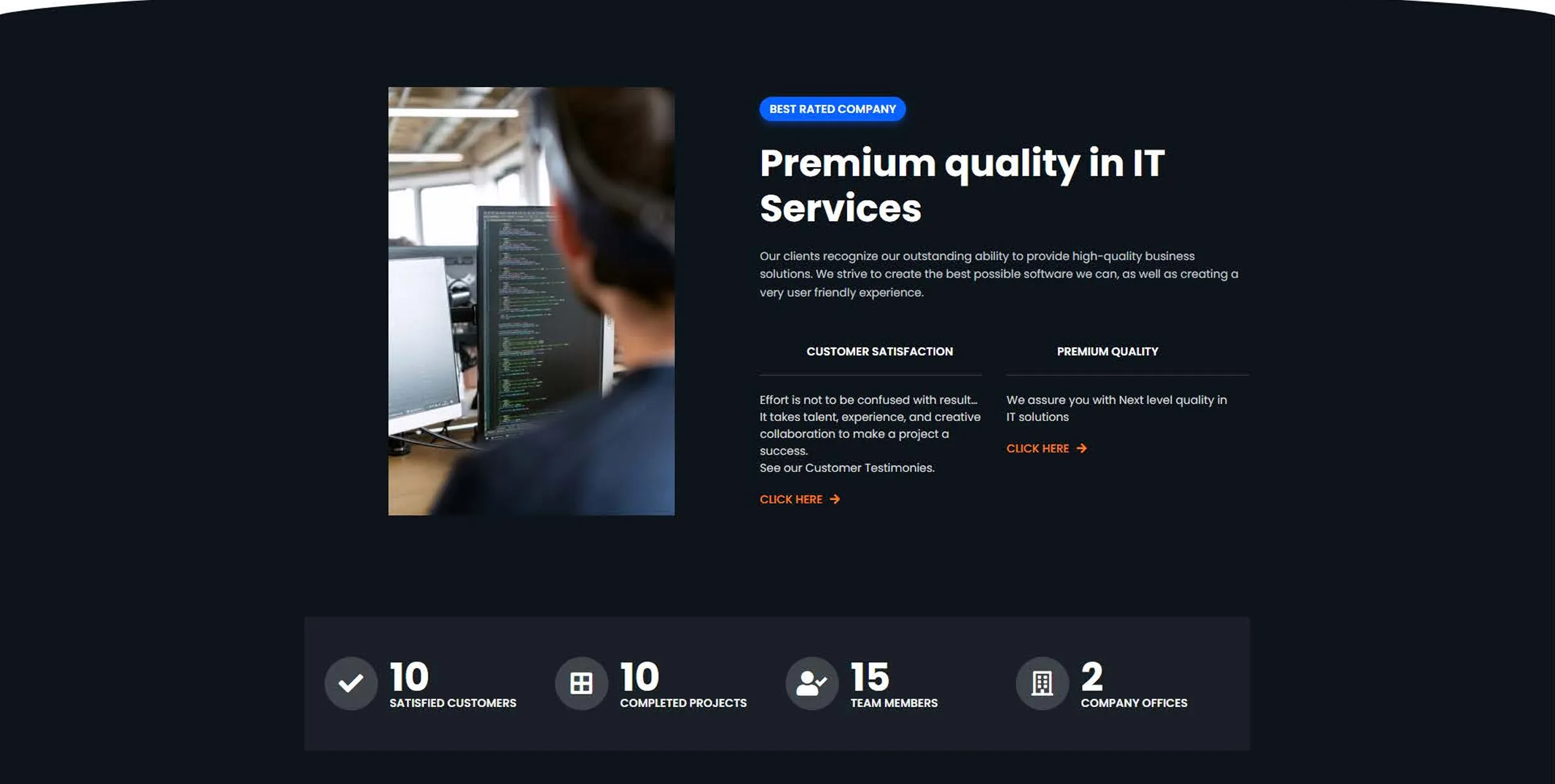 Software Agency Site: a software agency marketing site — services, team, blog and FAQ pages (4 of 12).