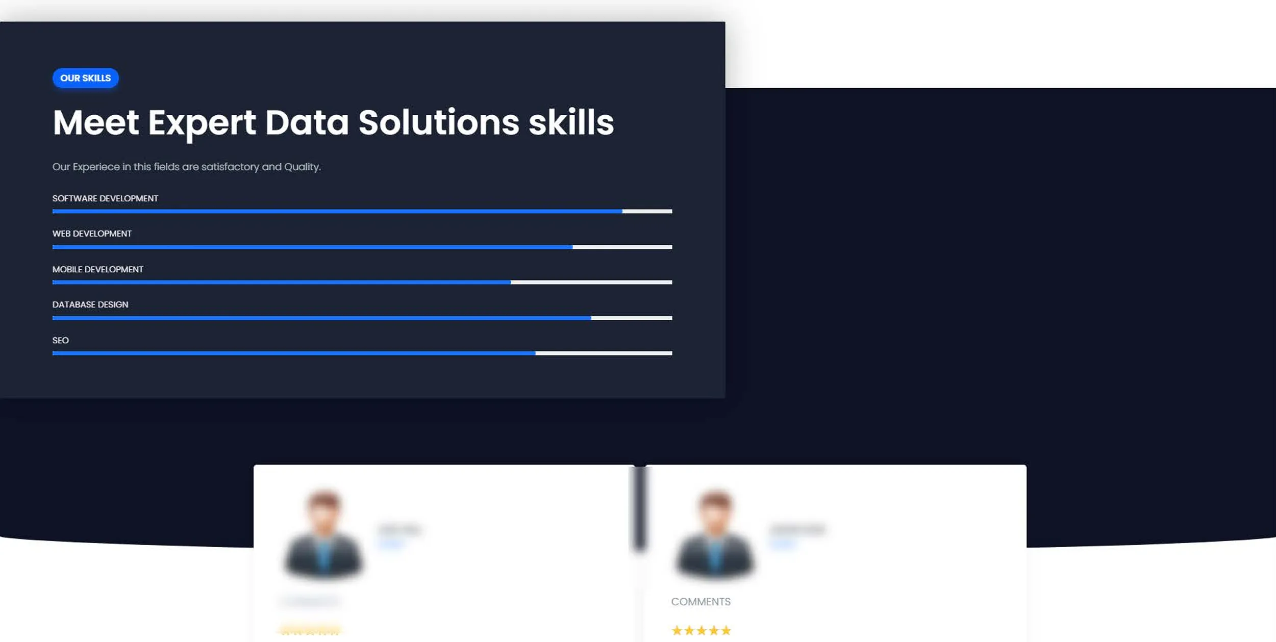 Software Agency Site: a software agency marketing site — services, team, blog and FAQ pages (7 of 12).