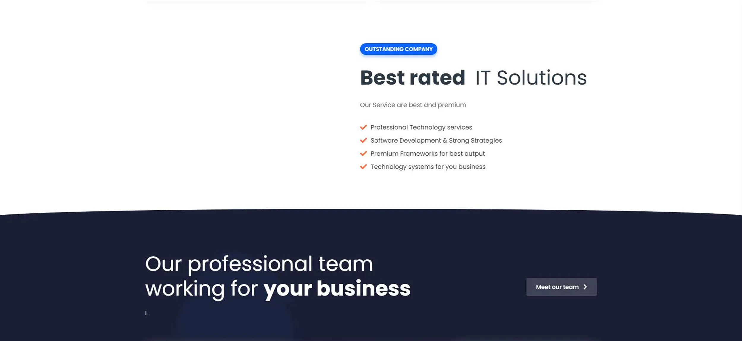 Software Agency Site: a software agency marketing site — services, team, blog and FAQ pages (8 of 12).