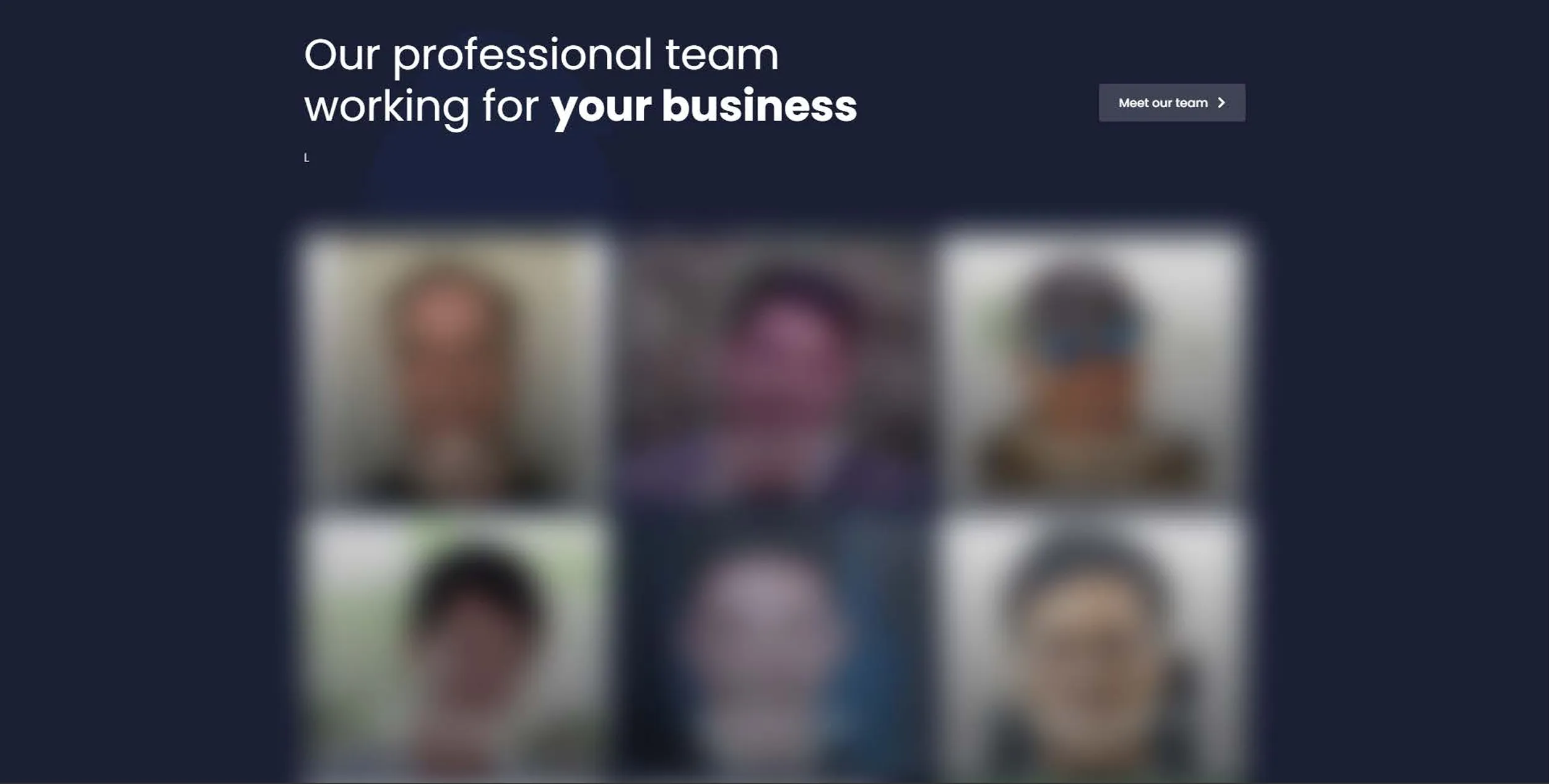 Software Agency Site: a software agency marketing site — services, team, blog and FAQ pages (9 of 12).